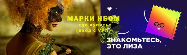 крисы Богородицк