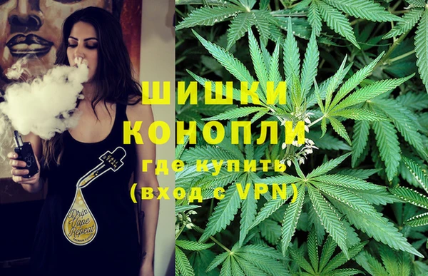 крисы Богородицк