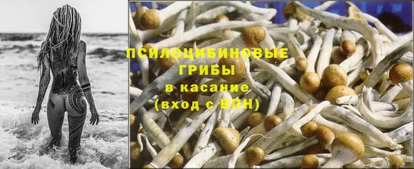 крисы Богородицк