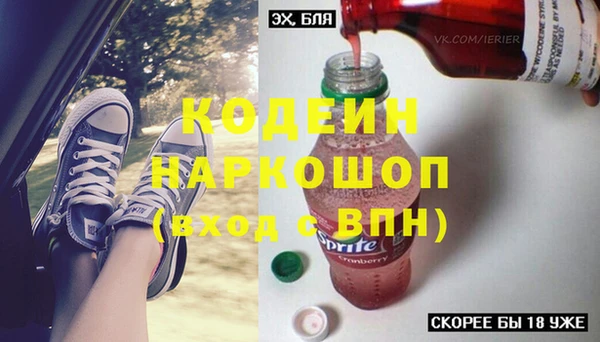 крисы Богородицк