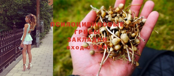 экстази Богданович