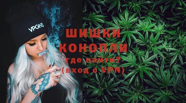 крисы Богородицк