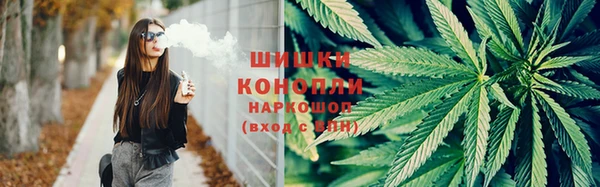крисы Богородицк