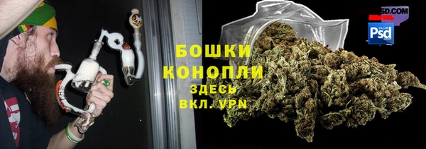 крисы Богородицк