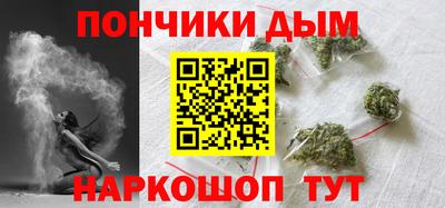 индика Заводоуковск