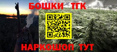 индика Заводоуковск