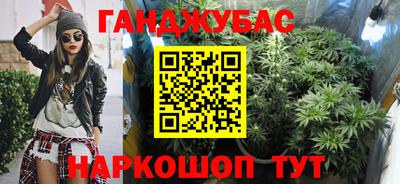 индика Заводоуковск