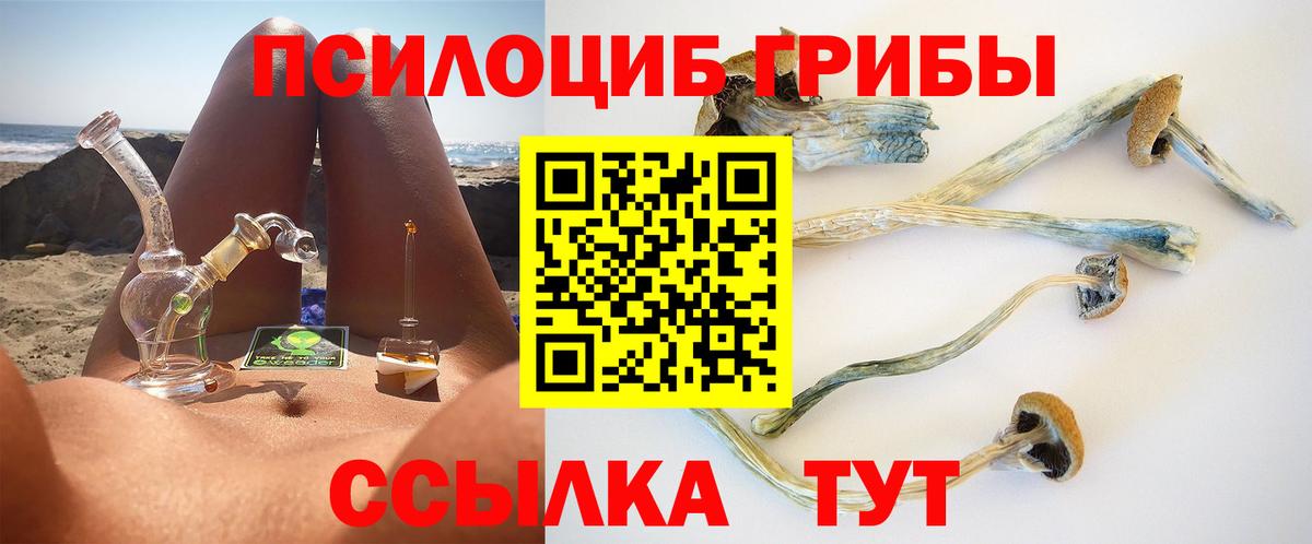 Малоярославец  Галлюциногенные грибы Psilocybe  Вход с VPN 